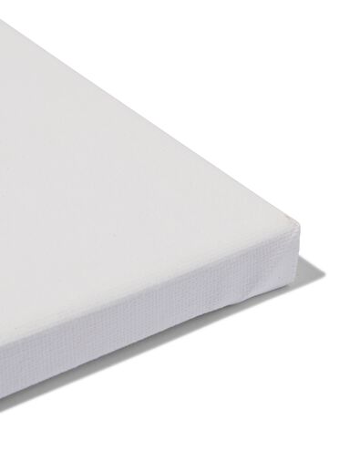 3&nbsp;toiles de peinture 280&nbsp;g/m2 20x20 - 60720067 - HEMA