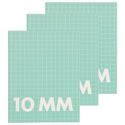 3 cahiers menthe format A5 - à carreaux 10 mm - 14101600 - HEMA