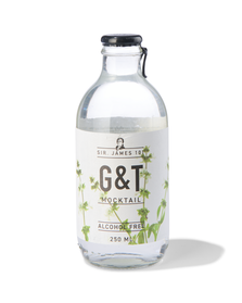 G&T sans alcool 250ml - 17420042 - HEMA