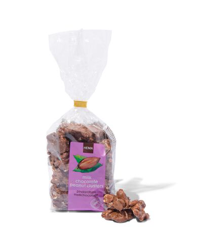melkchocolade pindarotsjes - 10311035 - HEMA