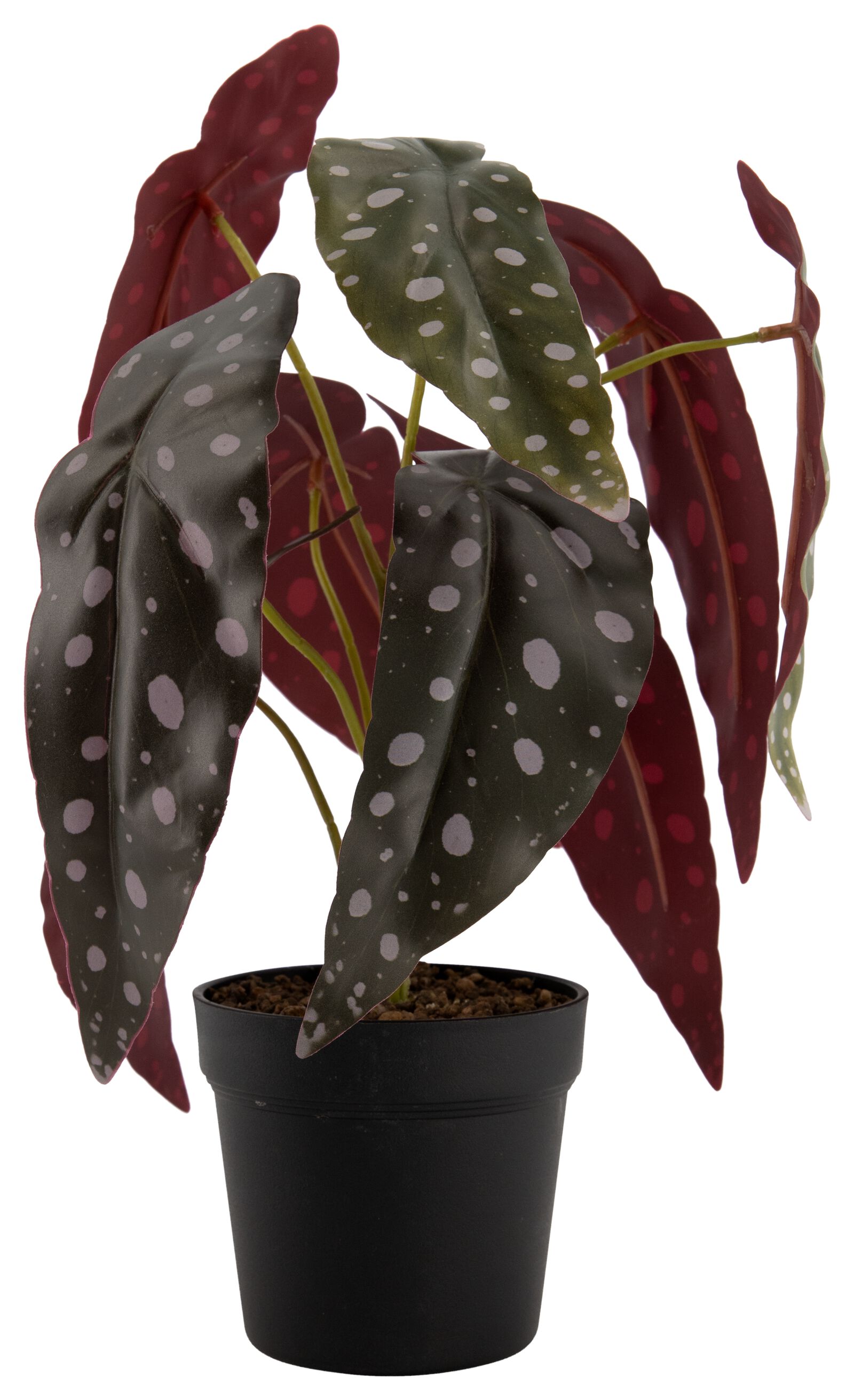 plante artificielle b&eacute;gonia &agrave; pois - 41322044 - HEMA