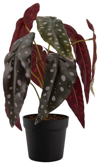 plante artificielle b&eacute;gonia &agrave; pois - 41322044 - HEMA