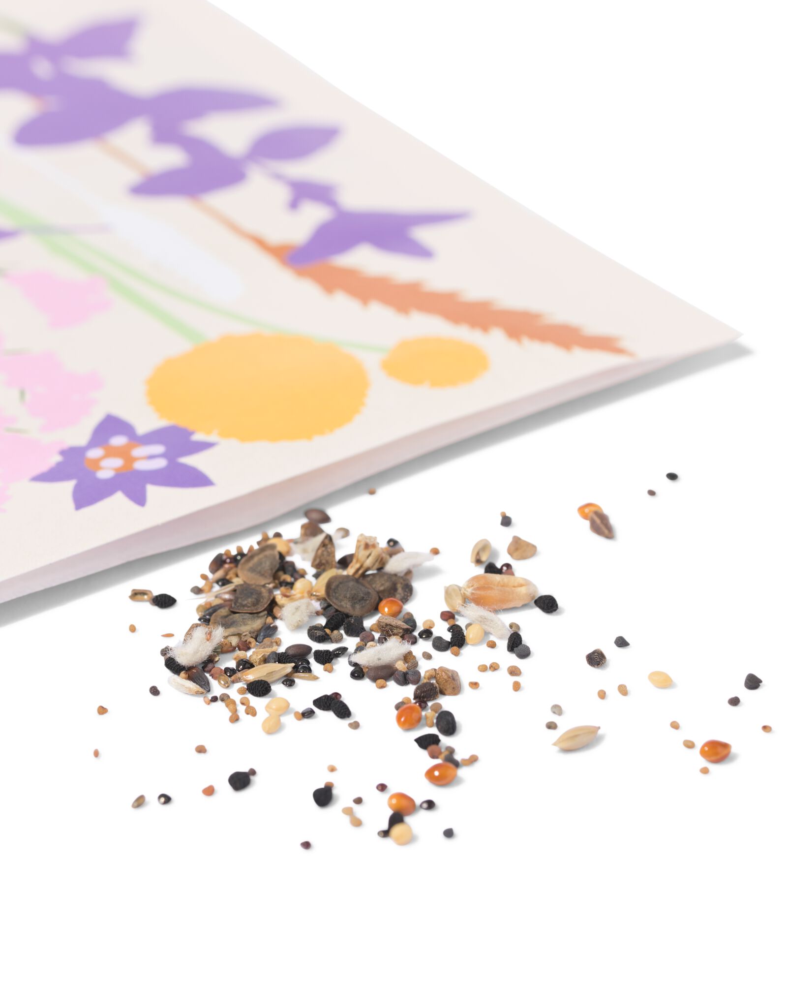 graines de fleurs pour bouquet de fleurs s&eacute;ch&eacute;es - 41800642 - HEMA