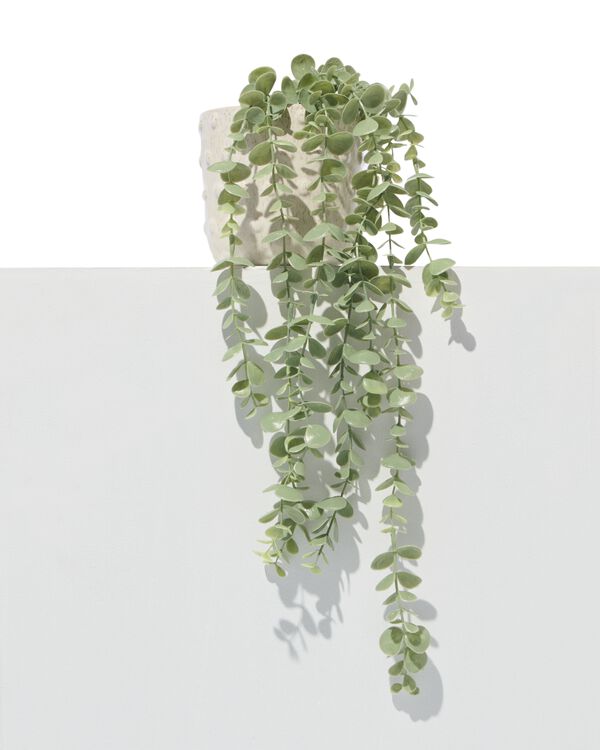 plante artificielle eucalyptus - 41323009 - HEMA