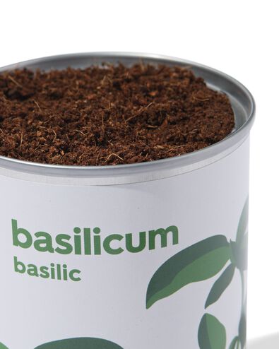 Anzuchtdose Basilikum - 41800651 - HEMA