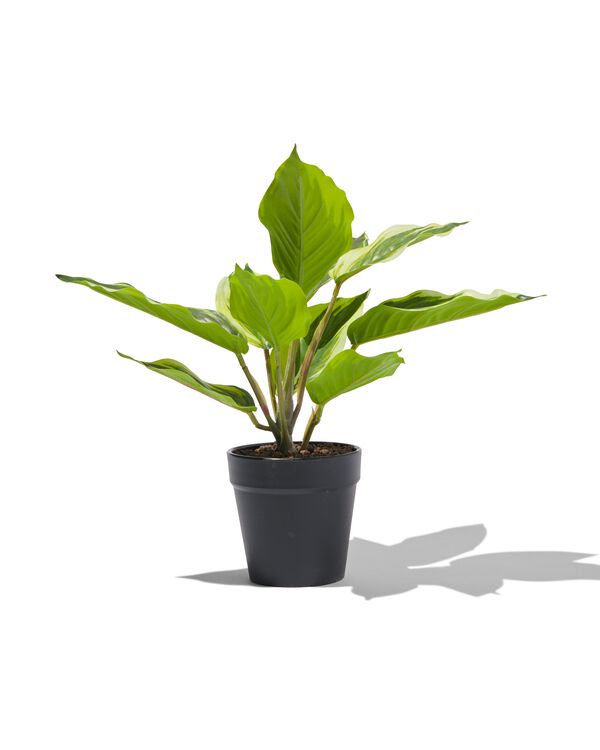 plante artificielle dieffenbachia - 13022143 - HEMA