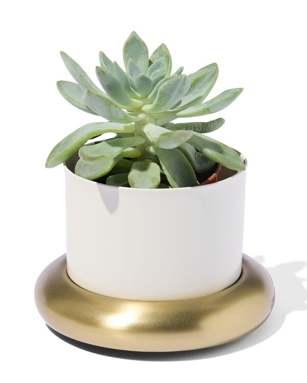 cache-pot &Oslash;10 x 6,5 cm m&eacute;tal avec soucoupe blanc-dor&eacute; - 13324099 - HEMA