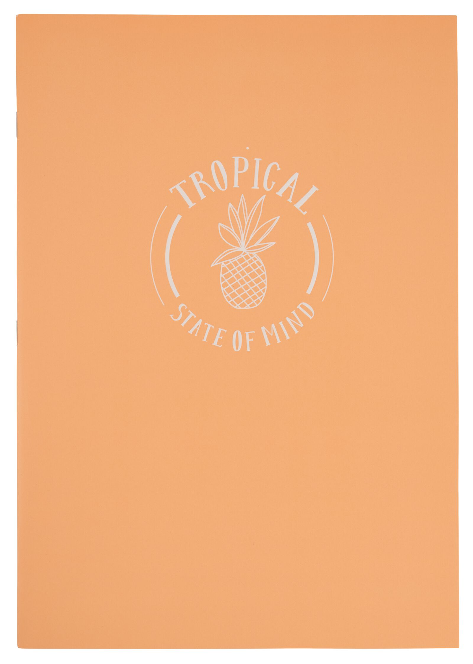 schriften A4 gelinieerd - 2 stuks - 14590181 - HEMA