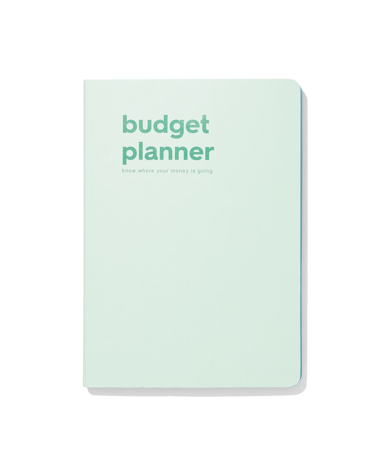 budgetplanner voor 12 maanden 21x15 - 14170193 - HEMA