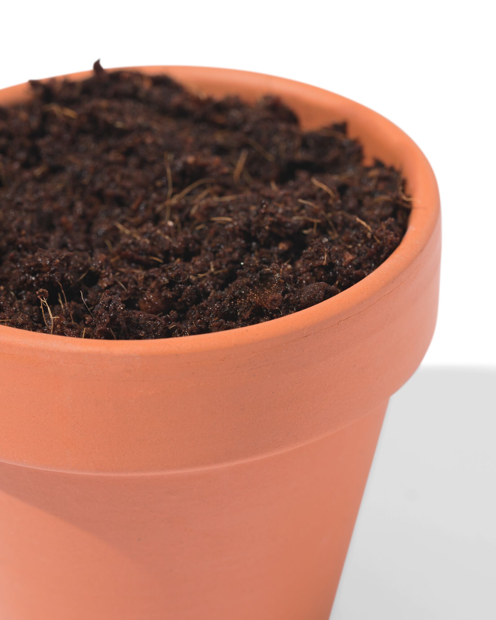 groeipot madeliefje - 41800664 - HEMA