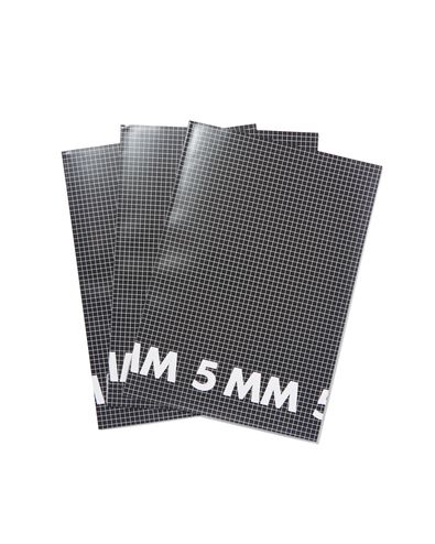 schriften A4 - geruit 5 mm - 3 stuks - 14101620 - HEMA