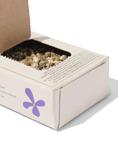 strooi & groei zaadmix schaduwrijke plekken - 41800646 - HEMA