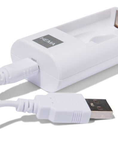 USB-Akku-Ladegerät für AA- und AAA-Akkus - 41290280 - HEMA
