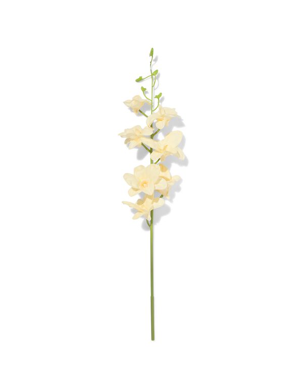 fleur artificielle 55 cm dendrobium caoutchouc blanc - 41300117 - HEMA