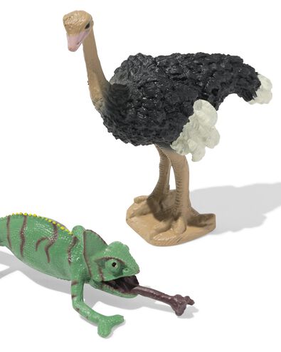 emmer dieren Australi&euml; - 15100257 - HEMA