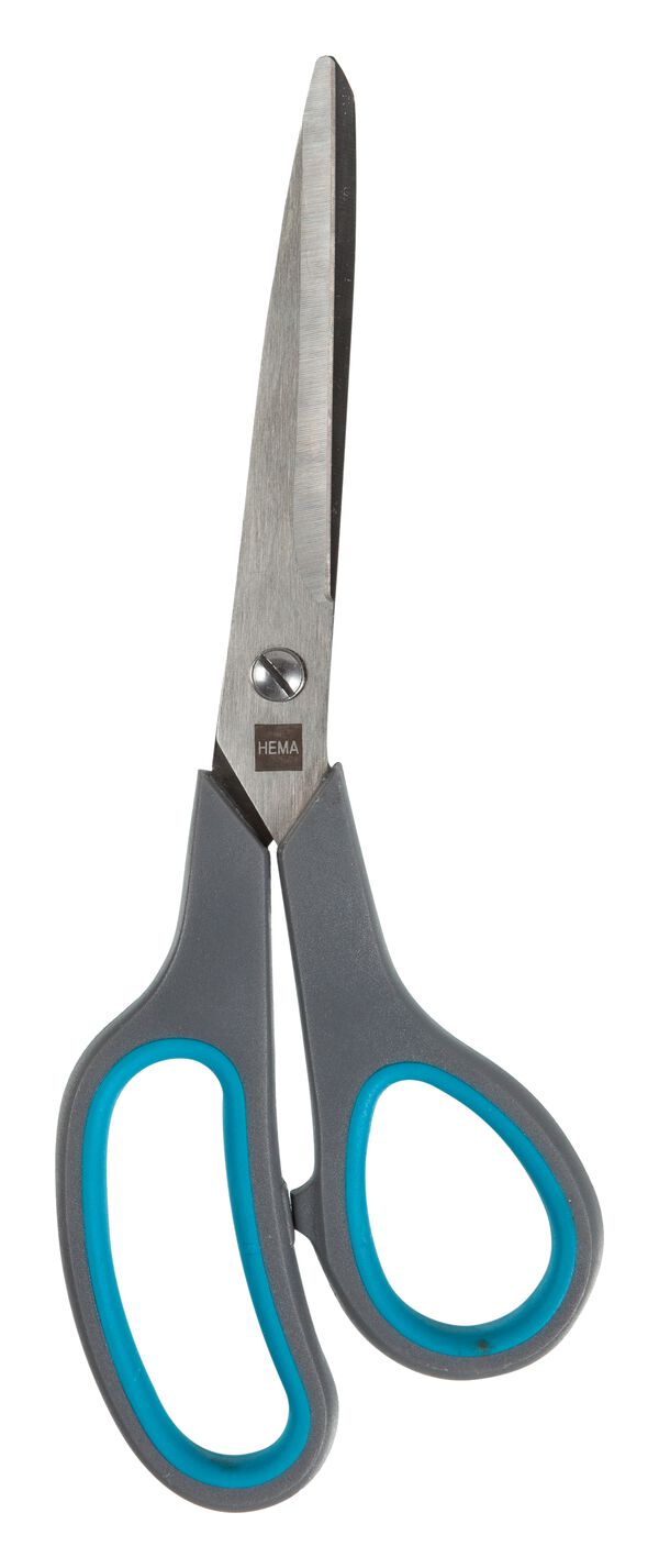 rvs schaar - 1481045 - HEMA