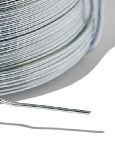 ijzerdraad 50 meter - 81040086 - HEMA