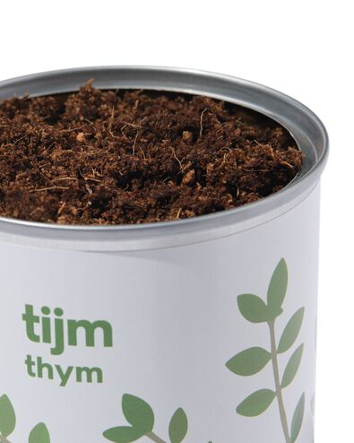 bac de culture thym - 41800656 - HEMA