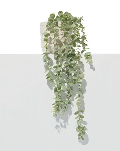 plante artificielle eucalyptus - 41323009 - HEMA