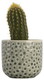 Blumentopf, Ø 7 x 7 cm, Keramik, Punkte, grün - 13321149 - HEMA
