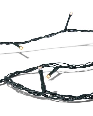 lichtsnoer 12m met 100 LED lampjes twinkelend voor binnen en buiten - 25510010 - HEMA