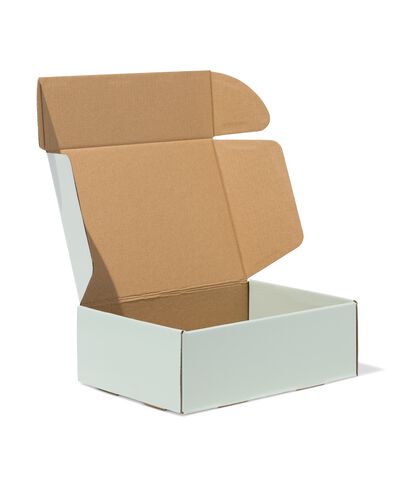Versandkartons 24 &times; 17 &times; 8 cm Pappe Hellgr&uuml;n &ndash; 3 St&uuml;ck - 14103731 - HEMA