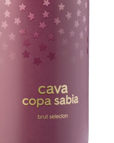 Copa Sabia cava brut 0.75L - 17390150 - HEMA