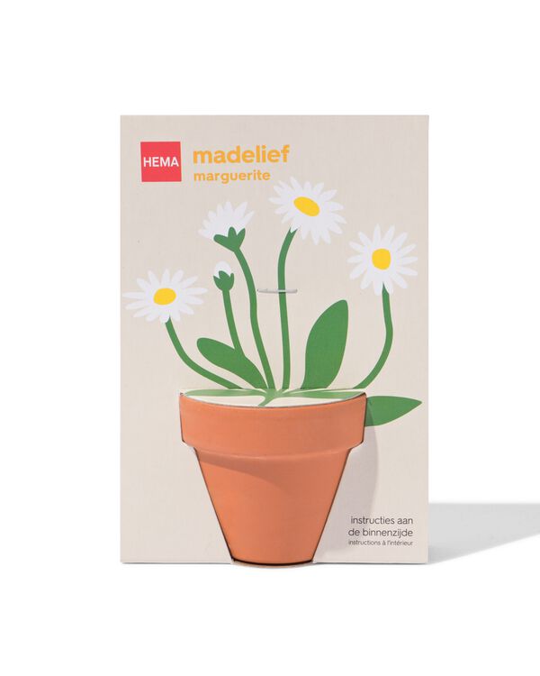 pot de culture marguerites - 41800664 - HEMA