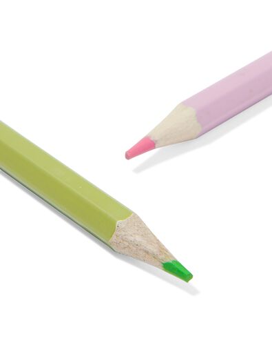 crayons duo - lot de 12 - 15900209 - HEMA