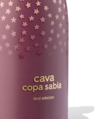 Copa Sabia cava brut mini 0,2 L - 17390151 - HEMA