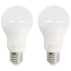 2 ampoules LED 100W - 1521 lumens - poire - mat - 20020005 - HEMA