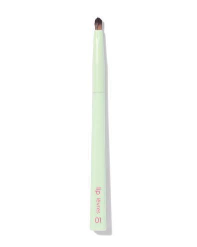 lippenstift kwast 01 - 11201010 - HEMA
