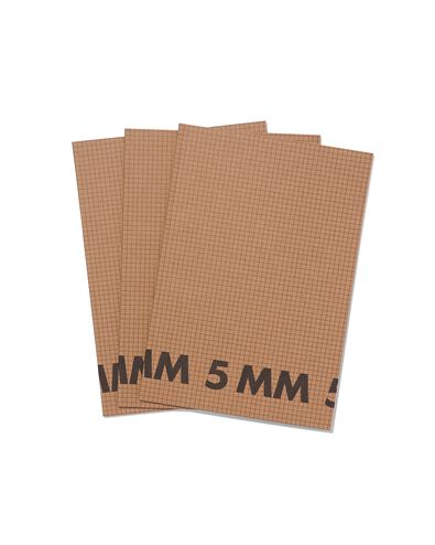 3 cahiers A4 &agrave; carreaux 5 mm - 14170055 - HEMA