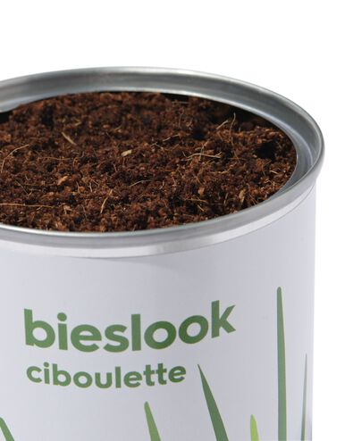 bac de culture ciboulette - 41800652 - HEMA