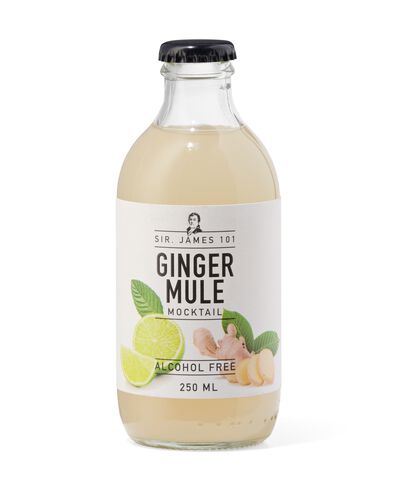 alcoholvrije ginger mule 250ml - 17460060 - HEMA