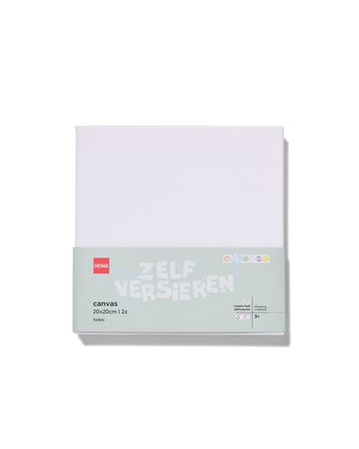 2&nbsp;toiles de peinture 20x20 - 15900119 - HEMA