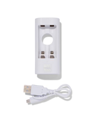 chargeur de batterie USB pour piles AA ou AAA - 41290280 - HEMA