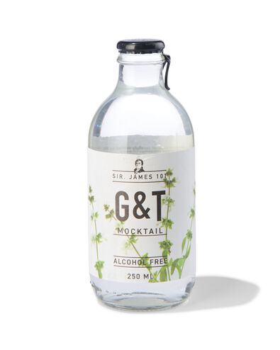 alcoholvrije G&T 250ml - 17420042 - HEMA