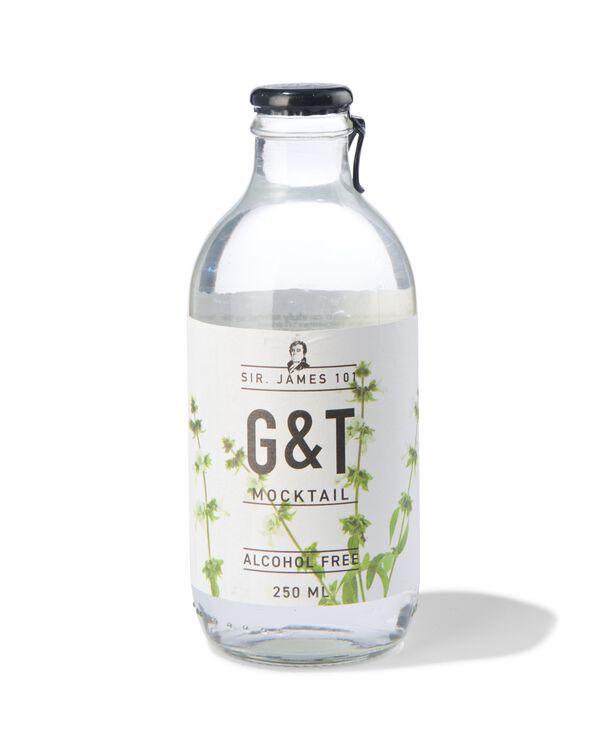 alcoholvrije G&T 250ml - 17420042 - HEMA