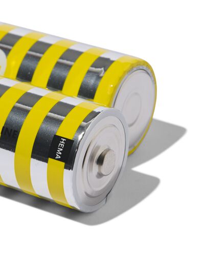 D alkaline batterijen - 2 stuks - 41290262 - HEMA