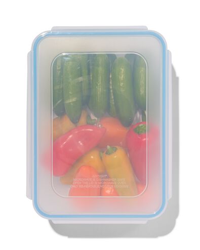 boîte à clip 2.3L 25x18.5x8.5 - 80880004 - HEMA