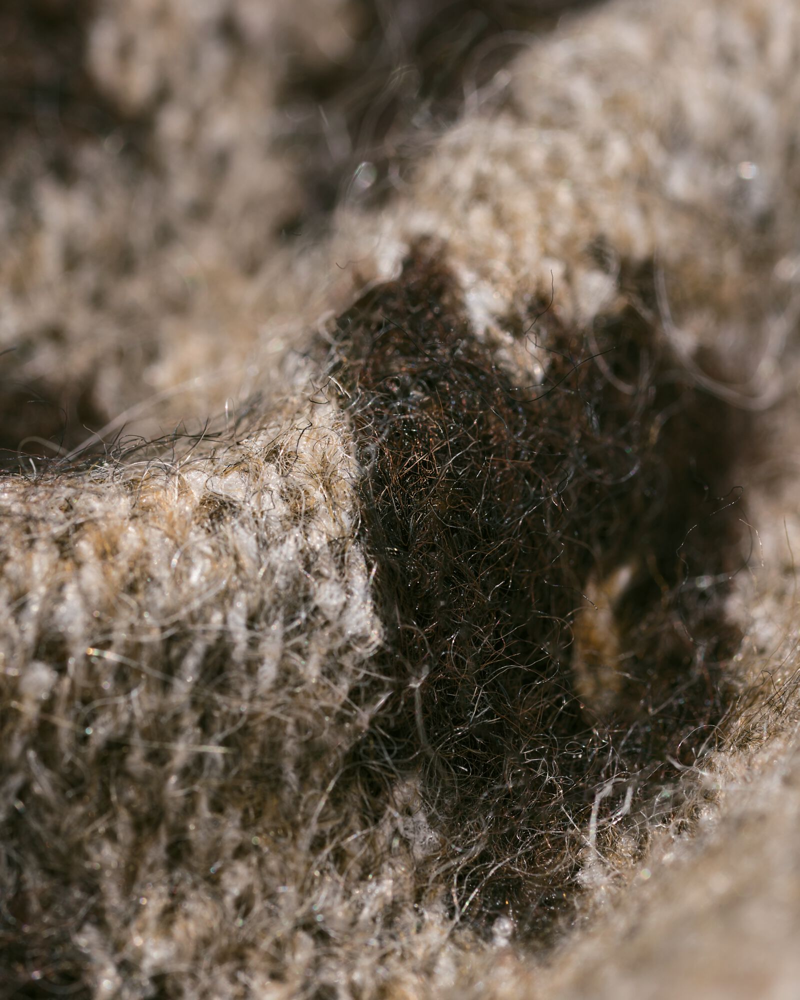 damesjurk Gelly luipaard multi multi - 36205070MULTI - HEMA