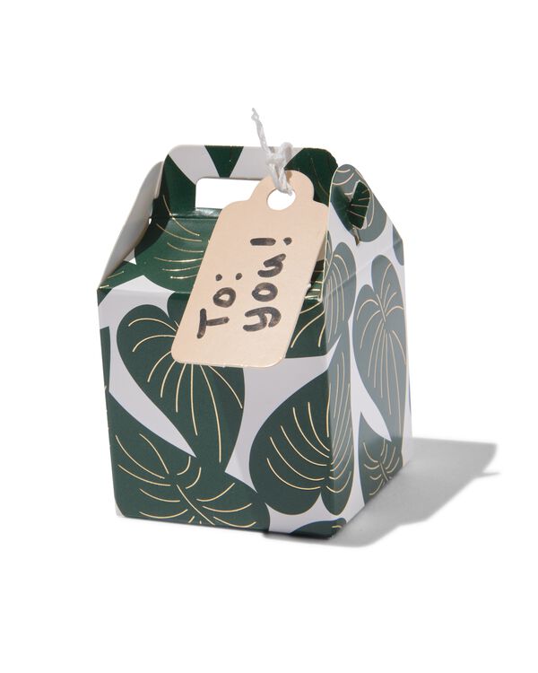6er-Pack Falt-Geschenkschachteln, Pappe, 5 x 5 x 5 cm, Blätter - 14740025 - HEMA