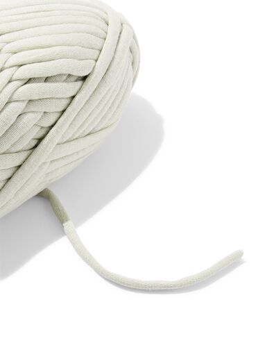 rond lintgaren 100g 45m lichtgroen - 60702884 - HEMA