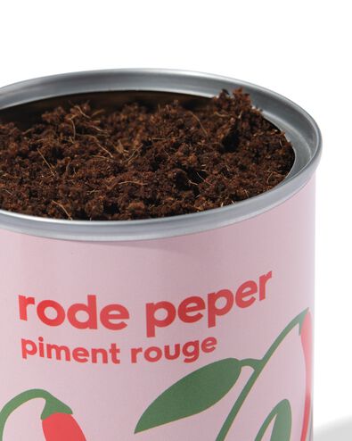 Anzuchtdose Paprika - 41800657 - HEMA