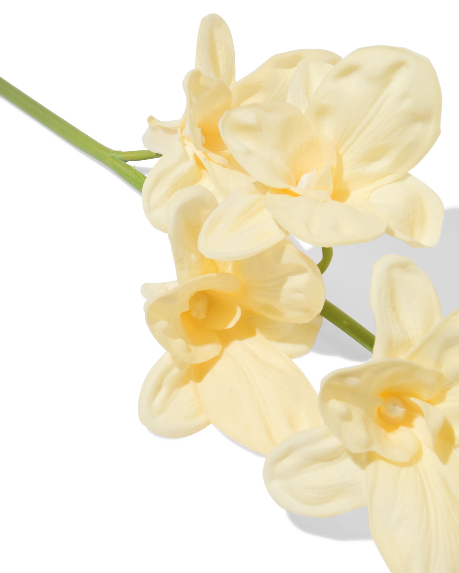 Kunstblume 55 cm, Dendrobie, Kautschuk, wei&szlig; - 41300117 - HEMA