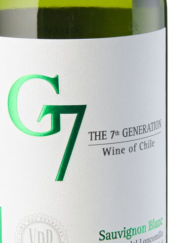 G7 sauvignon blanc - 17371106 - HEMA
