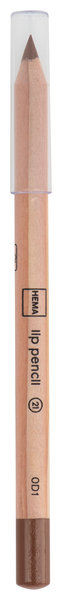 crayon à lèvres marron - 11230121 - HEMA