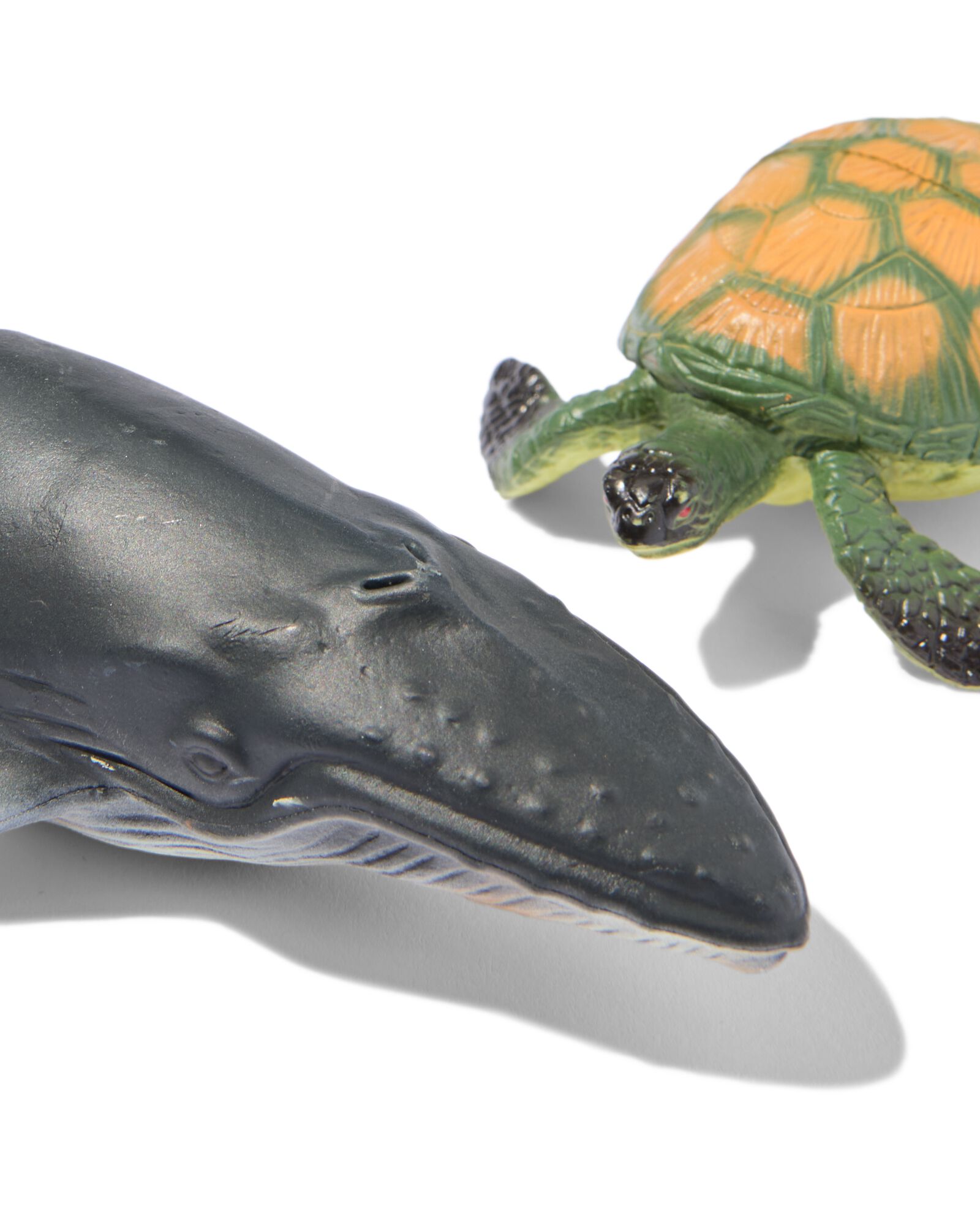 animaux marins - 15100584 - HEMA