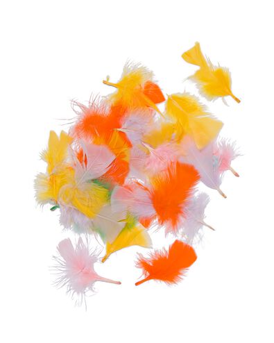 100 plumes - 15920071 - HEMA